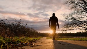 Man, Walking, Path. Free Stock Video