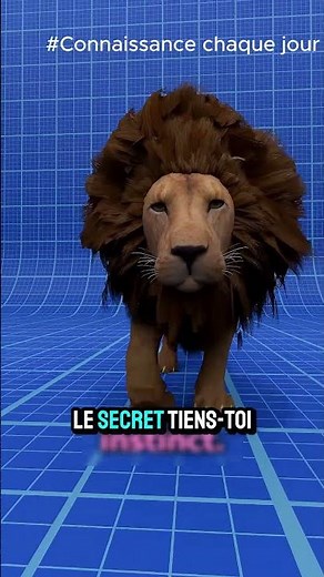 The secret no one tells! How to survive a lion attack? #short