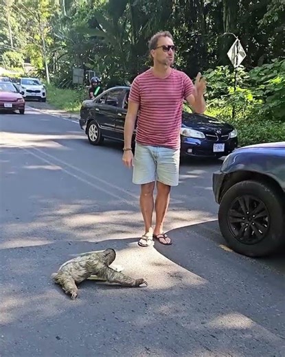 When Laziness Becomes an Olympic Sport