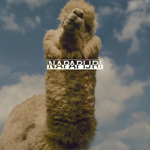 A curated selection of Spring/Summer looks. | Napapijri | Facebook