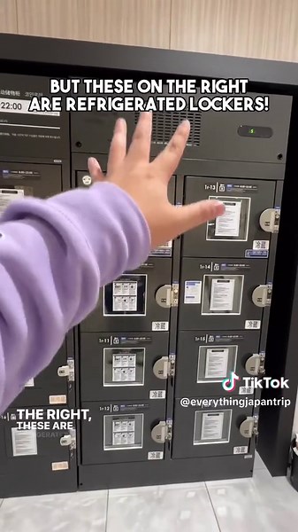 Unique Shopping Innovations in Japan