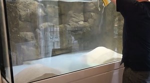 Can You Use Sand in a Discus Tank? {Which Sand Is The Best?}