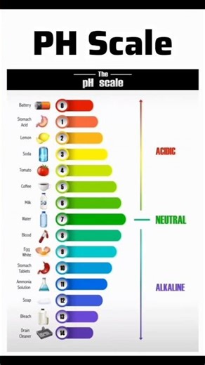 🧪PH Scale explained in seconds✨ #sciencefacts #factspark #chemistryfacts #phscale