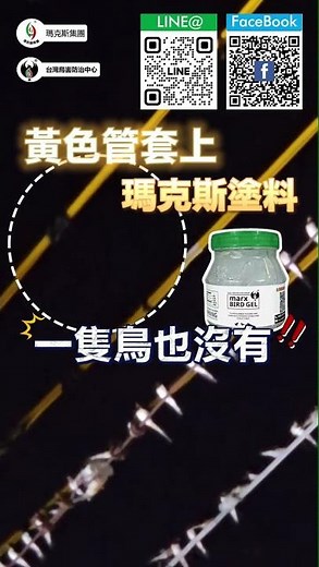 【台灣雞絲頭】電線上都是小鳥！大便狂掉下來？最有效的鳥害防治方法公開 #台灣雞絲頭 #台灣鳥害防治中心 #瑪克斯集團 #瑪克斯塗料 #鳥害 #冷氣#室外機 #鳥巢 #鳥糞 #鳥屎