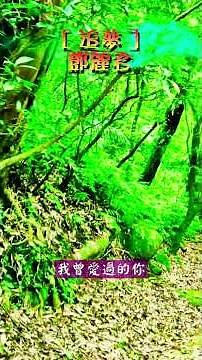 ［追夢（Chasing Dreams / 夢を追いかけて）］~ 鄧麗君（Teresa Teng）/ 三亭兩峰 05 #幸福之歌 #travel #nature #song #trailer
