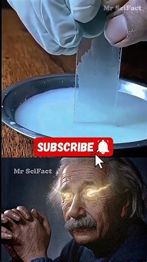 ALBERT’S PHYSICS REACTS: Capillary action mechanism | #viralshort #shortsfeed