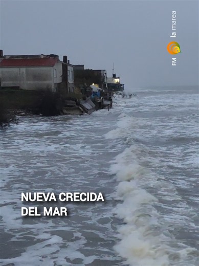 🔴 #AHORA | Alerta por crecida en el Partido de La Costa. Así se ve la situación en Mar del Tuyú (calles 69 y 70), una de las zonas más afectadas por el avance del mar. El pico máximo se espera hacia las 20:00 hs en medio del temporal de frío y lluvia. Cuidense y circulen con precaución. 🌊⚠️ #crecida #mardeltuyu #sudestada #alerta