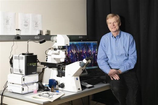 You Contain Multitudes: Somatic Mutation and Genomic Diversity in Human Brain