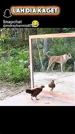 ╰•★★ ᴋᴀꜱʜᴀɴ ★★•╯ (@funnylips8)’s videos with original sound - ╰•★★ ᴋᴀꜱʜᴀɴ ★★•╯