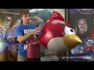 Angry Birds Air Swimmers Instructional Video (by William Mark Corporation)