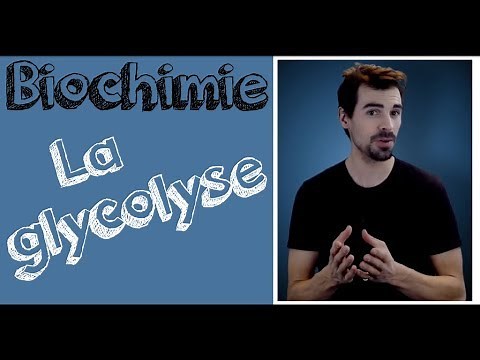 Biochemistry course: Glycolysis