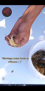 143K views · 1.1K reactions | Montage crabe facile et efficace  #usa_tiktok #fishing #remembrance #tribute #compassion #usa #fish #update | Anouar peche vlog | Facebook