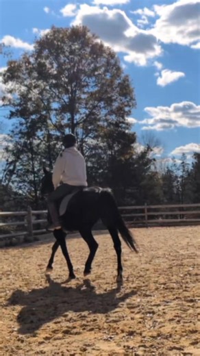 Really happy with how Chips been going recently 🥰 | Lucky Cricket Farm NJ