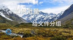 [工具软件]如何批量给文件分组