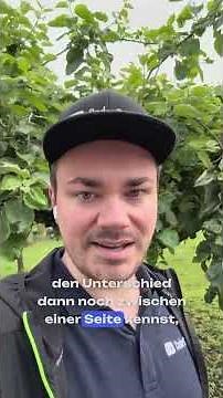 Das musst du beim Start mit Notion wissen #notion