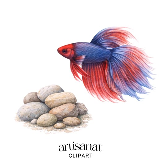 Aquarium Clipart Set, Watercolor Fish Tank PNG, Tropical Fish Illustration, Aquarium Plants, Pet Fish Clipart, 20 PNG - Etsy