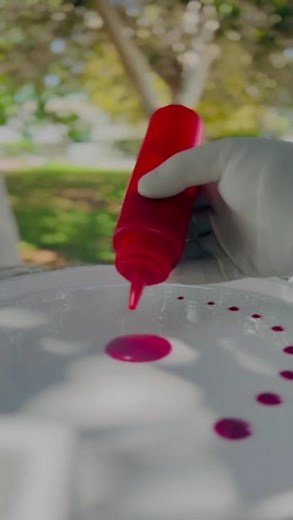 Mesmerizing Chef Plating Art #Shorts