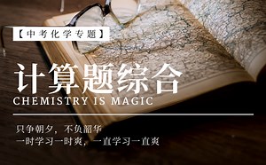 【专题精讲】初三化学计算题的千层套路