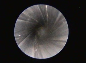 1.3K views · 26 reactions | Are you ready for it?! | Windham Weaponry, Inc | Facebook