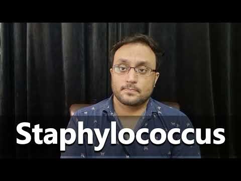 How to Pronounce Staphylococcus