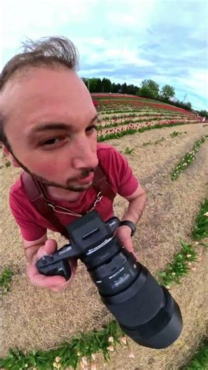 Spring Tulip Mini Sessions In Russell Ontario