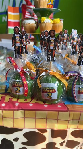 Namazi’s Story “Two Infinity and Beyond!” Year 2! #sawyersfunpark_nc