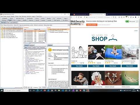 Source code disclosure via backup files (Video solution)