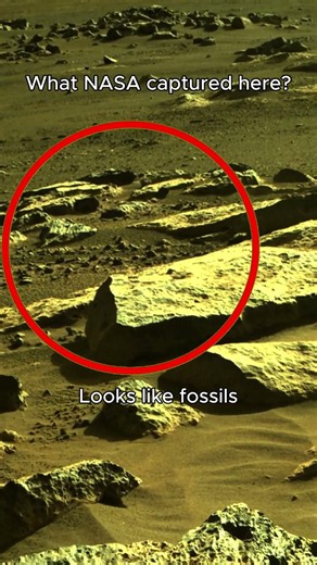 Perseverance Just Filmed This on Sol 198