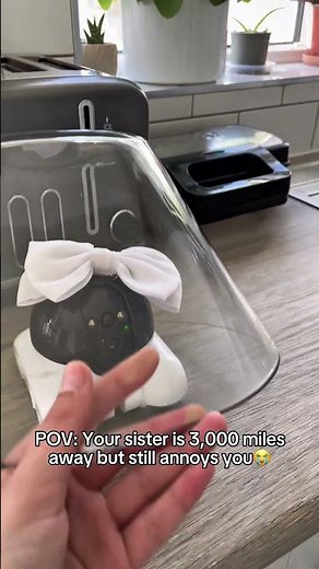 POV: my sister is a tiny robot 😭💕 #robot #siblings #longdistance #home