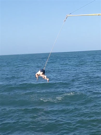 Travel Bug on TikTok
