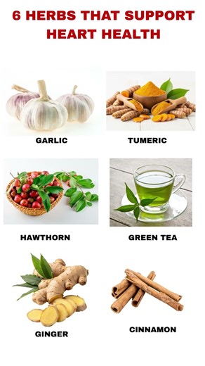 Top 6 Herbs for Heart Health You Should Know | Nature's Heart Protectors 🌿