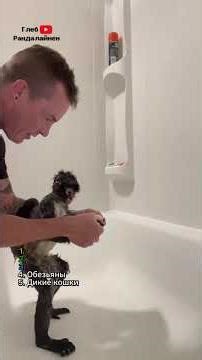 Top 5 worst pets 🙅‍♂️