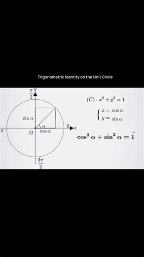 MathxMatrix on Instagram: "Unit Circle & Trigonometric Identity Here’s how sine and cosine trace every point on the circle and why their squares always add up to 1."