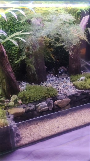 Smart Garden on Reels | Facebook