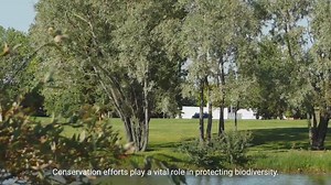 Conservation Efforts to Protect Biodiversity