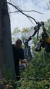 20K views · 265 reactions | Machine doing logging stuff 蝹 | Logger Mack | Facebook