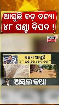୪୮ ଘଣ୍ଟା ଓଡ଼ିଶାକୁ ବିପଦ ! Odisha Flood News | Mahanadi Flood Alert | Flood In Odisha | Asala Katha