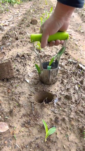 The smallest smart seedling planting tool | Amazing farming tool #tools #farming