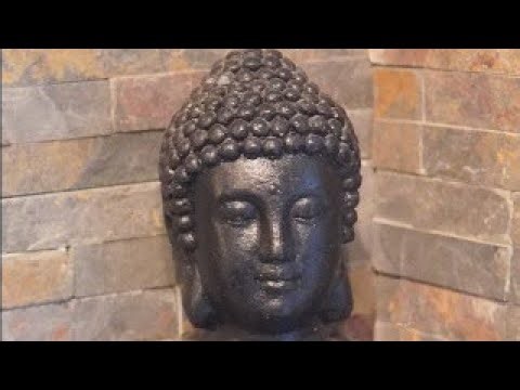 Système endocrinien comme un chef d'orchestre