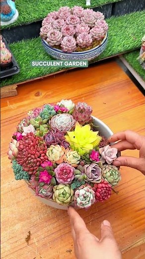 How to Make a Colorful Succulent Arrangement (Step-by-Step) 🌈