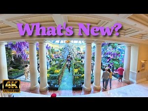 Bellagio Conservatory Spring Display 2025