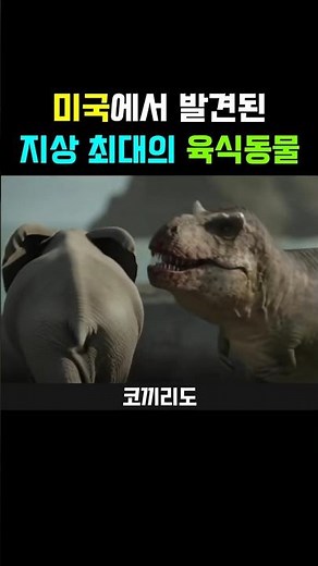 An elephant beats him? The largest tyrannosaurus ever discovered in the US.