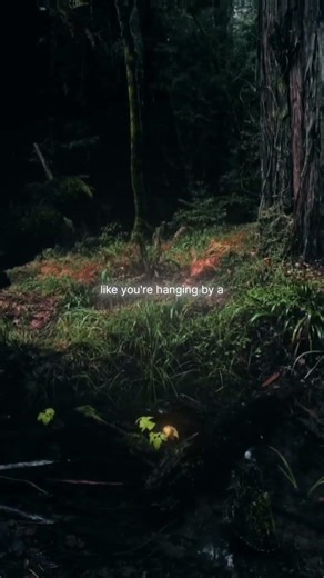 Em Beihold - Numb Little Bug (Lyrics)