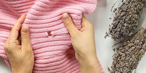 How to get rid of clothes moths