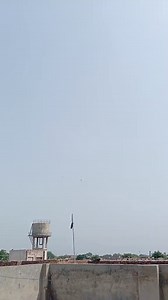 9.4K views · 702 reactions | #viral Shoq kabotar bazi nuskhe elaaj low flying pigeon baby training session | شوق کبوتر بازی نسخے اور علاج | Facebook