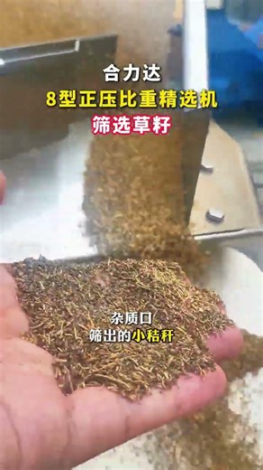 When processing grass seeds using a gravity separator, it is essential to carefully adjust the airfl