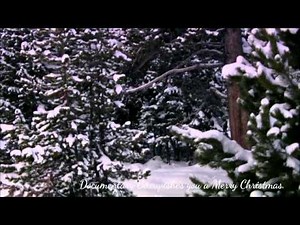 Christmas in Yellowstone Nature Documentary