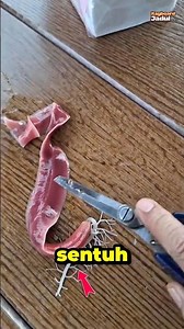 😱 Strange Alien-like Worms