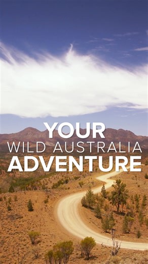 62 reactions | Encounter Unique Wildlife in 6 National Parks. Stay At Remote Ecolodges. 12 Days $16795 | Natural Habitat Adventures | Facebook