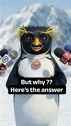 Pingu the penguin Interview part 2
